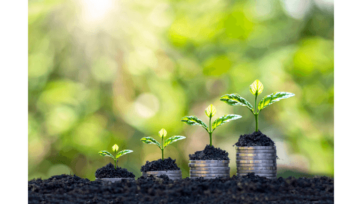 Unlocking the Power of Small: The Impact and Potential of SMEs in Today's Economy - Eden